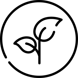 3638017